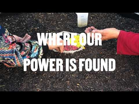 Down to the Ground Lyric Video