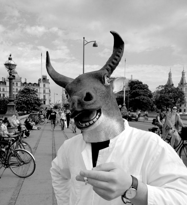 A reasearcher in a cow mask looks into the camera