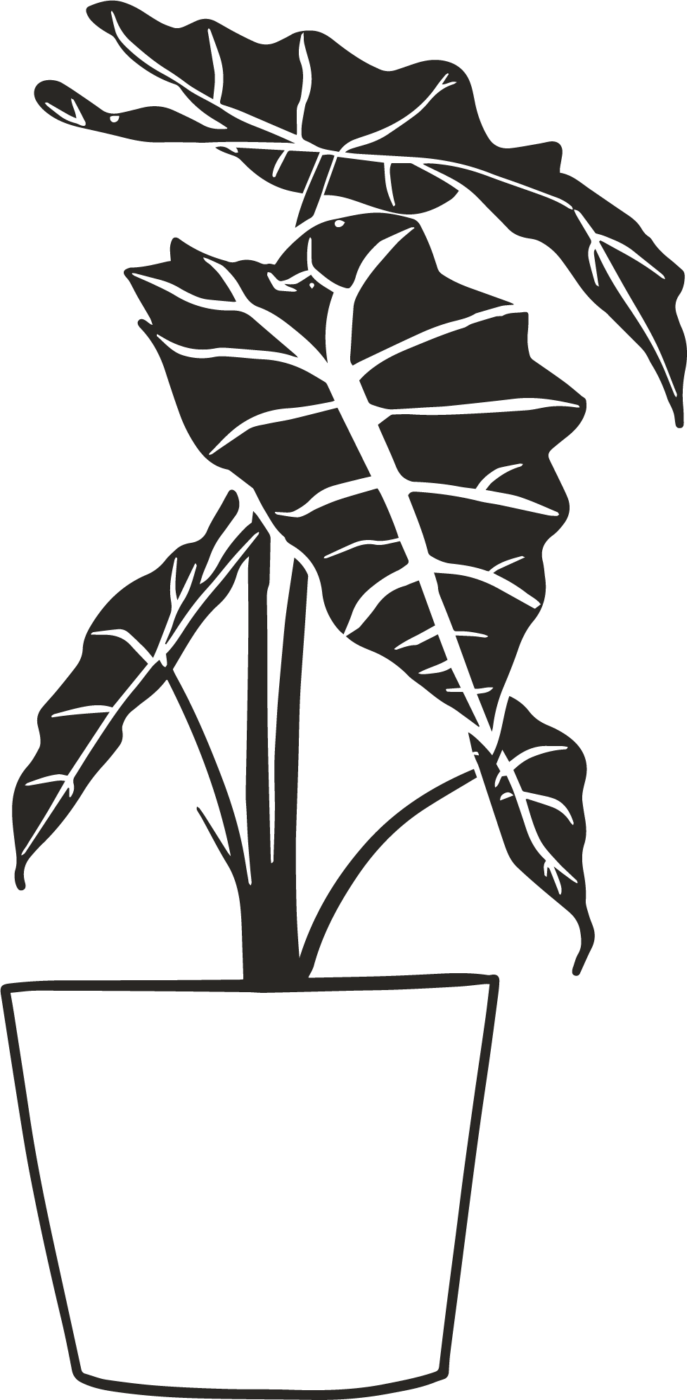 Houseplant Icon Drawing